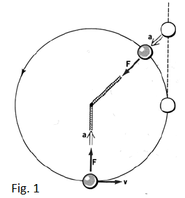 Kreshnik Circ Dyn Fig1.png